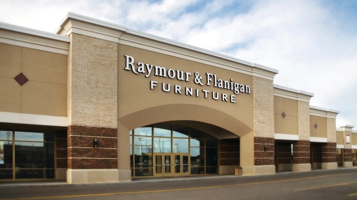 Raymour and flanigan furniture website