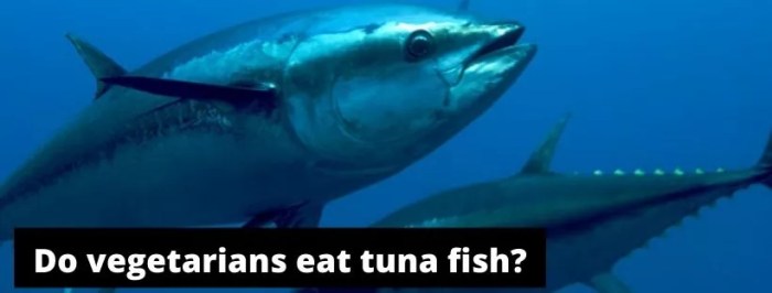 Can vegetarians eat fish